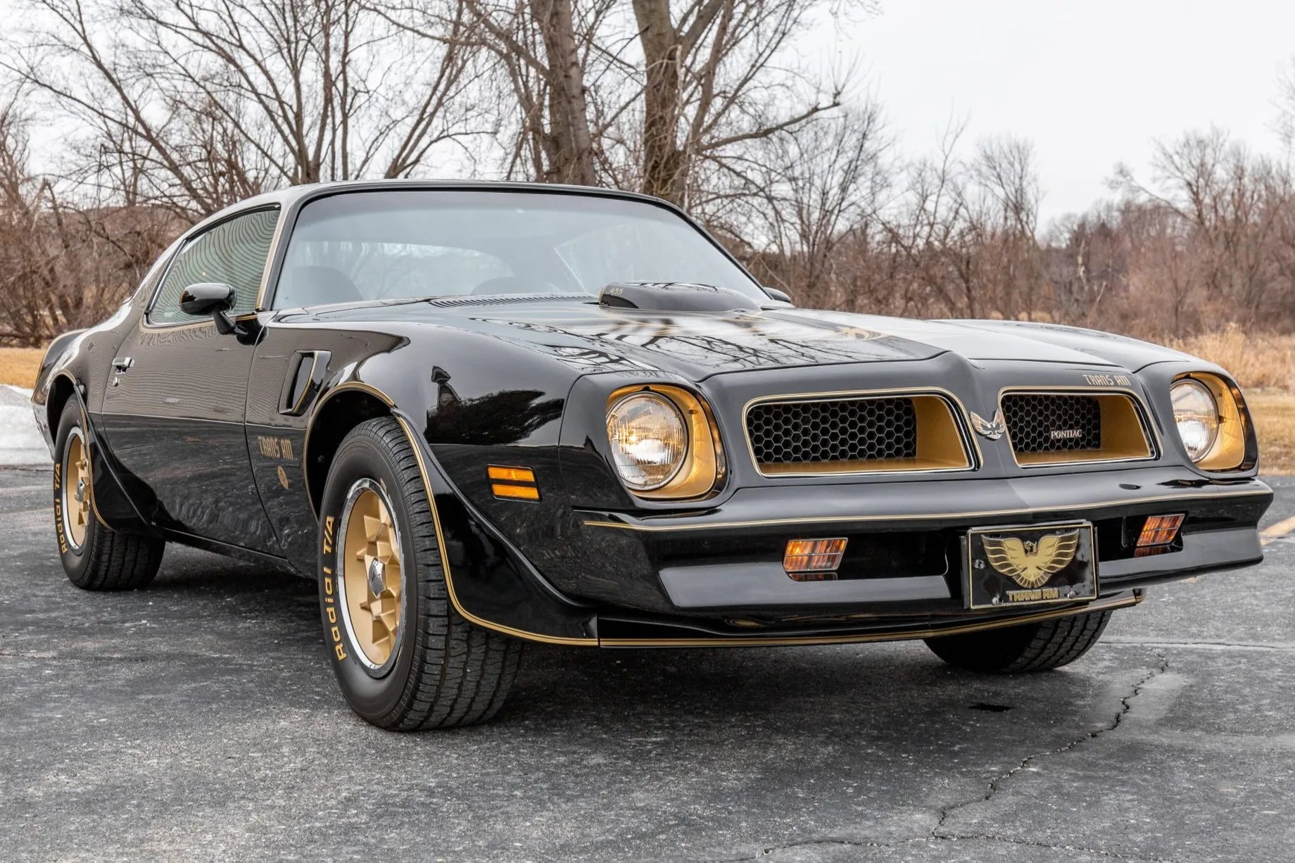 1970-1976 Firebird Trans Am
